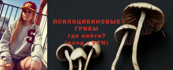 2c-b Алзамай