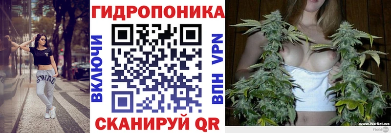 Конопля гибрид  Зарайск 